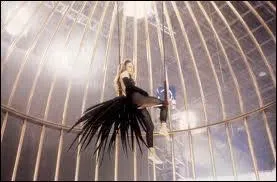 Pub : Pour quoi Vanessa ne faisait-elle pas l'oiseau de Paradis ?