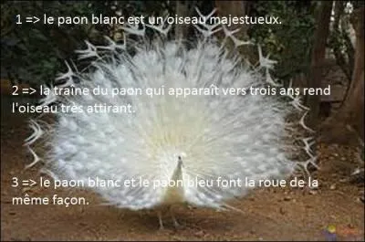 Quelle phrase n'est pas une phrase simple ?