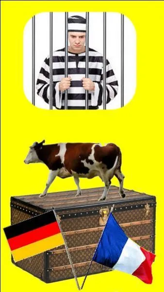 Qui y a-t-il dans la malle ?