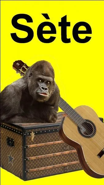 Qui y a-t-il dans la malle ?