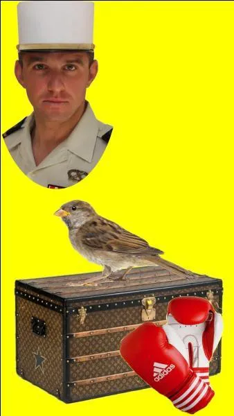 Qui y a-t-il dans la malle ?