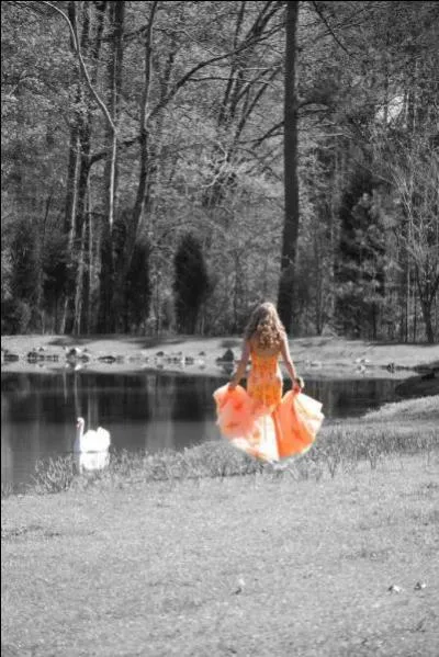 De qui sont les paroles "Je pense encore à toi, on m'avait dit que tout s'efface, heureusement que le temps passe..." ?