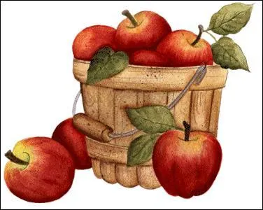 Panneau de bois amovible fermant l'arrière d'une charrette :