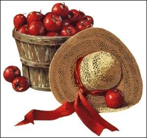 Gros buisson touffu où se réfugie le gibier :