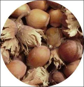 En milieu rural, groupe d'habitations à l'écart d'une commune, à laquelle il est rattaché administrativement :