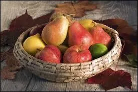 Cave d'affinage à fromages :
