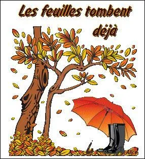 Couper en petits morceaux avec un instrument tranchant :