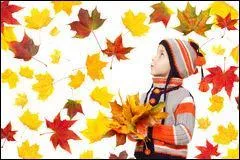 Cheval maigre et peu vigoureux :