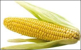 Alors que celui-ci ressemble à