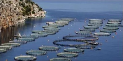 Que fait celui qui élève des poissons ?