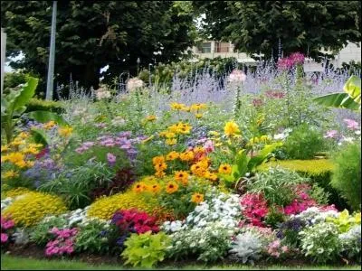 Quel est le nom de la culture des jardins et des fleurs ?