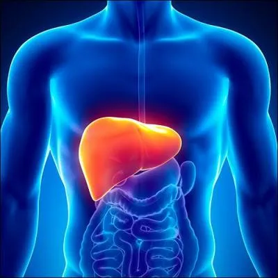 Quelle maladie du foie, issue du grec "kirros", est souvent due à l'alcoolisme ?