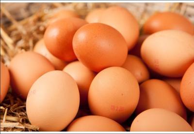 Combien de semaines après la ponte les œufs portant la mention « frais » peuvent-ils être consommés ?
