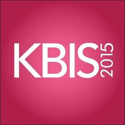 Que peut-on dire du document officiel appelé K-bis ?