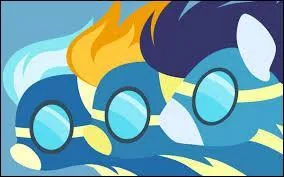 Qui sont les héros de Rainbow Dash ?