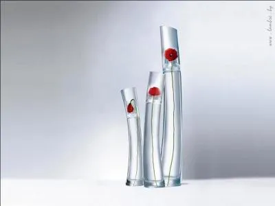 Quelle est cette marque ?