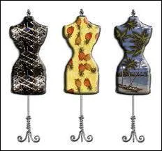 Quelle est cette vitrine qui met en valeur le savoir-faire, qui véhicule une image de marque et qui vend du rêve pour atteindre une clientèle de luxe ?