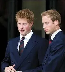 Combien William et Harry ont-ils touché pour leurs 30 ans ?
