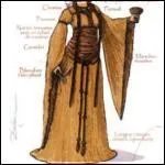 Moyen-âge : comme se nomme ce vêtement porté aussi bien par les hommes que par les femmes ?