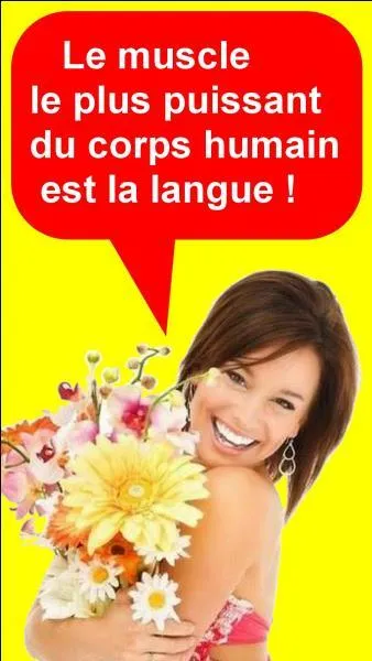 Quelle est la bonne réponse ?