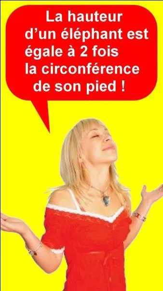 Quelle est la bonne réponse ?