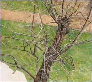 Qui a peint "L'acacia" ?