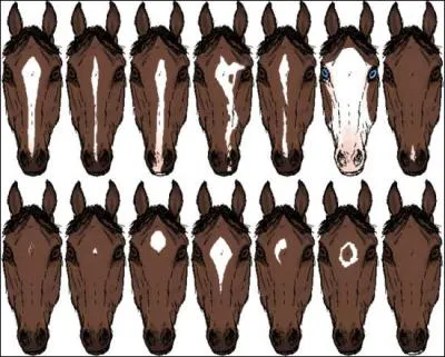 Quel est le nom de la liste 1 de la ligne 2 ?