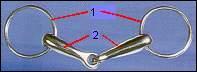 Quiz Galop 2