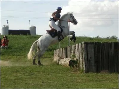 Comment s'appelle cet obstacle ?