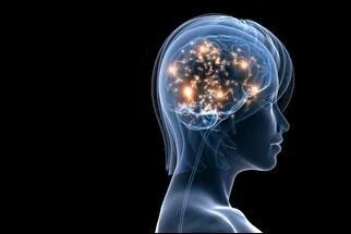 Qui a dit : “La force sans l’intelligence s’effondre sous sa propre masse.” ?