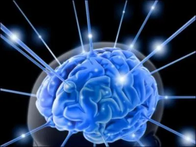 Qui a dit : “Ne rien trouver ridicule est le signe de l’intelligence complète.” ?