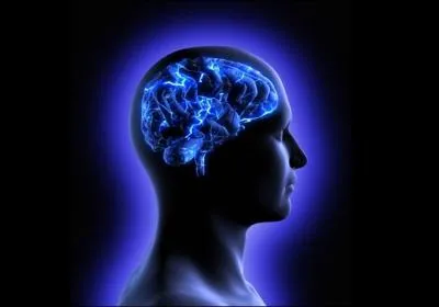 Qui a dit : “L’authenticité est l’intelligence des imbéciles.” ?