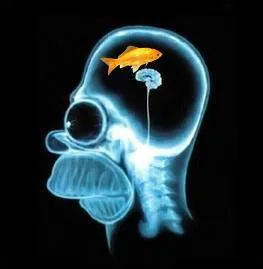 Qui a dit : “L’intelligence n’est pas une garantie de bonne pensée.” ?