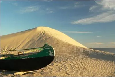 Madagascar est une île qui abrite un désert.