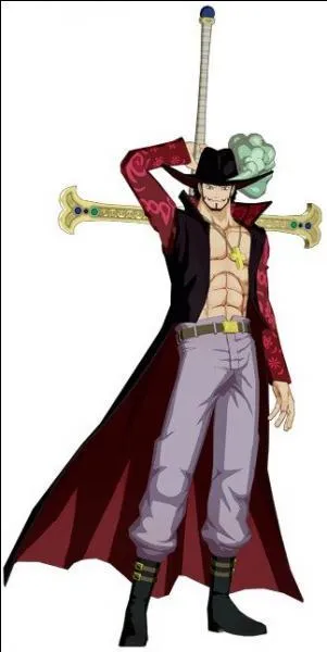 Comment est surnomm&eacute; Dracule Mihawk ?