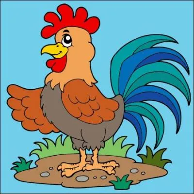 Comment vous réveille le coq à Londres ?