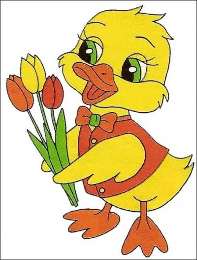 Il ne dit pas "coin-coin". Comment s'exprime le canard anglais ?