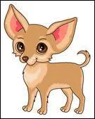 Mais que lui répond le petit chien ?