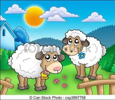 Que peut bien raconter le mouton ?