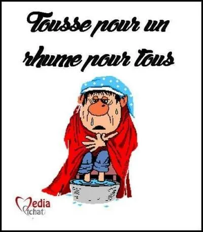 Comment s'appelaient les compagnons de d'Artagnan ?