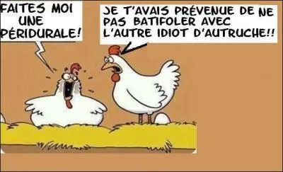 Quand une poule est constipée... (cochez la réponse la plus absurde. ) ;-)