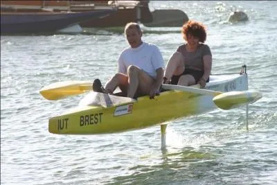 Quel terme ne désigne pas un moyen de propulsion d'un bateau ?