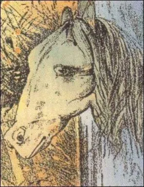 S'agit-il d'un cheval ou d'une grenouille ?