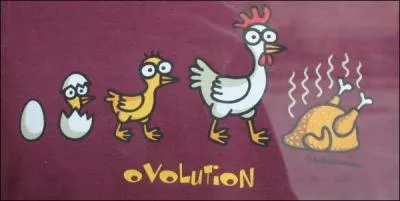 Allez, je passe à un autre sujet !