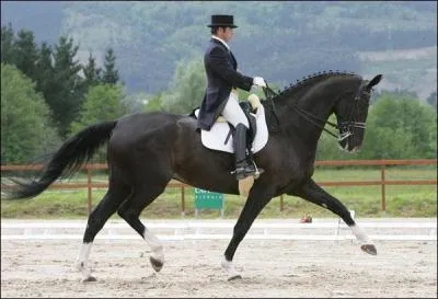 Lorsqu'on tourne les deux rênes dans une main, on tourne par effet...