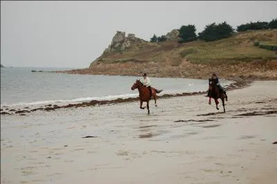 Pourquoi changer de bipède diagonal en extérieur ?