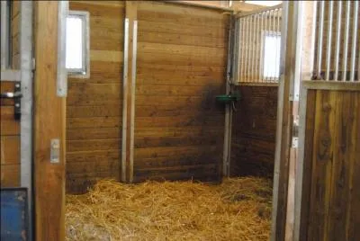 A quoi sert la litière ?