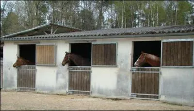 De quoi peut être composée une litière ?