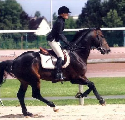 Qu'est-ce qui conditionne le tourner ?