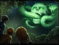 Quelle est cette marque verte qui apparaît dans le ciel devant Harry, Ron et Hermione ?